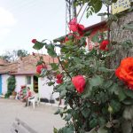 DSC02172