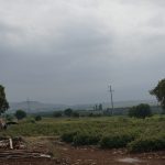 DSC02342