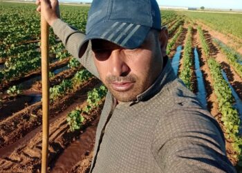 Hayallerin Çapalanıp Toprağa Karıştığı Yerden Bir Portre: Mustafa Gök