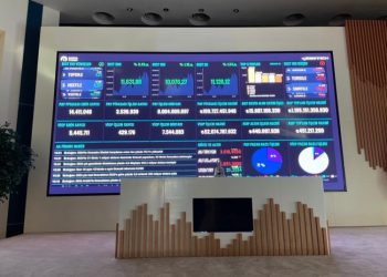 2024 Borsa Performansı ve Yatırım Fonu Getirileri