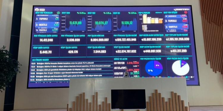 2024 Borsa Performansı ve Yatırım Fonu Getirileri