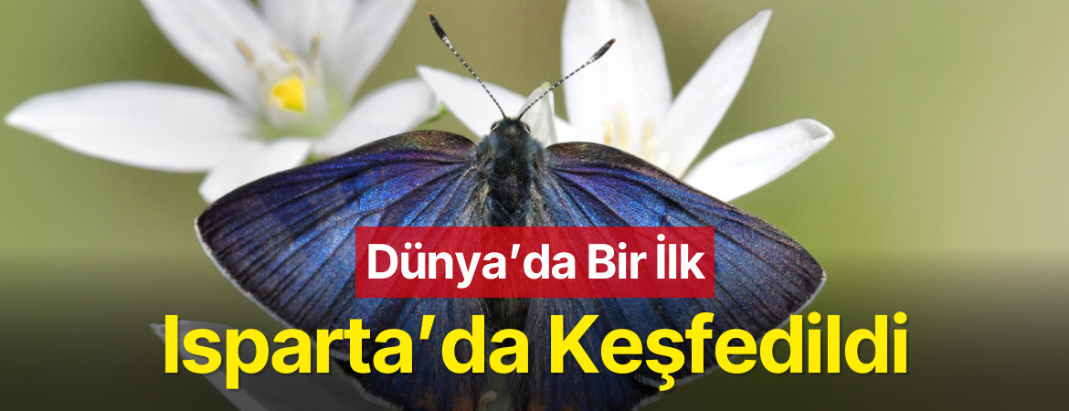 Dünya’da Bir İlk, Isparta’da Keşfedildi