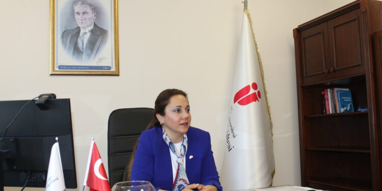 Akademik Yayıncılıkta Toplumsal Fayda: İstanbul Üniversitesi Yayınevi