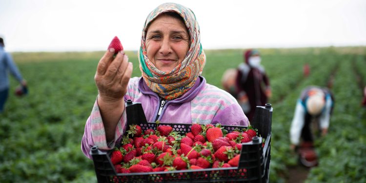 Türkiye’deki Tarımda Mevcut Durum ve Gelecek Beklentileri